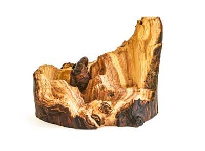 Skulpture "Evolution"